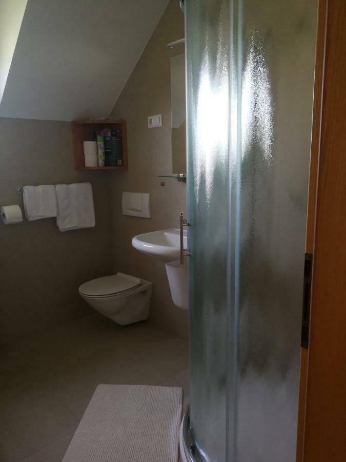 Apartment Juric Maribor Ngoại thất bức ảnh